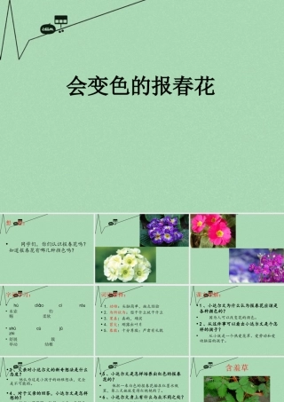 秋三年级语文上册《会变色的报春花》课件3 冀教版-冀教版小学三年级上册语文课件