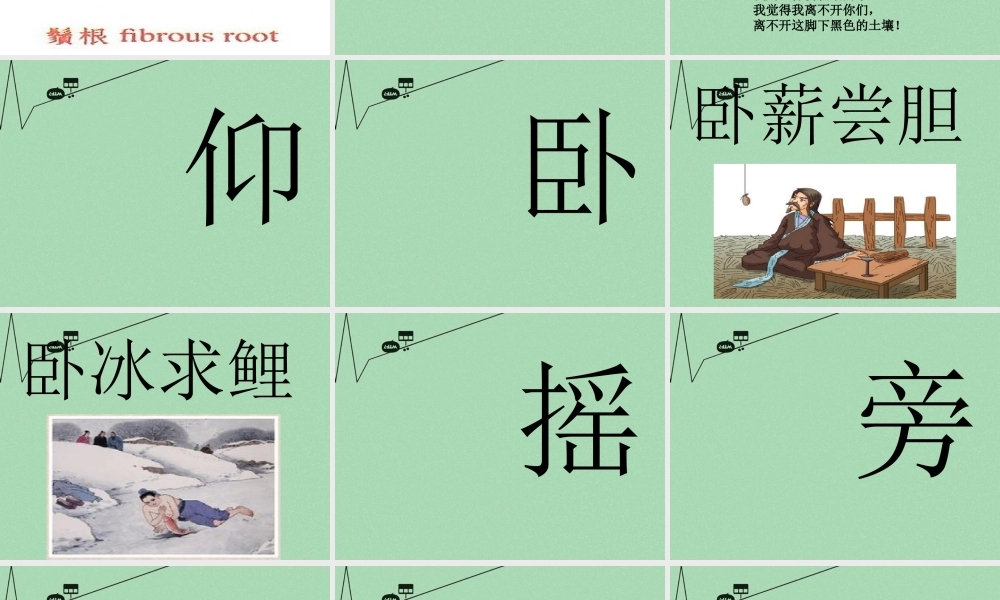 秋三年级语文上册《会说话的草》课件1 冀教版-冀教版小学三年级上册语文课件
