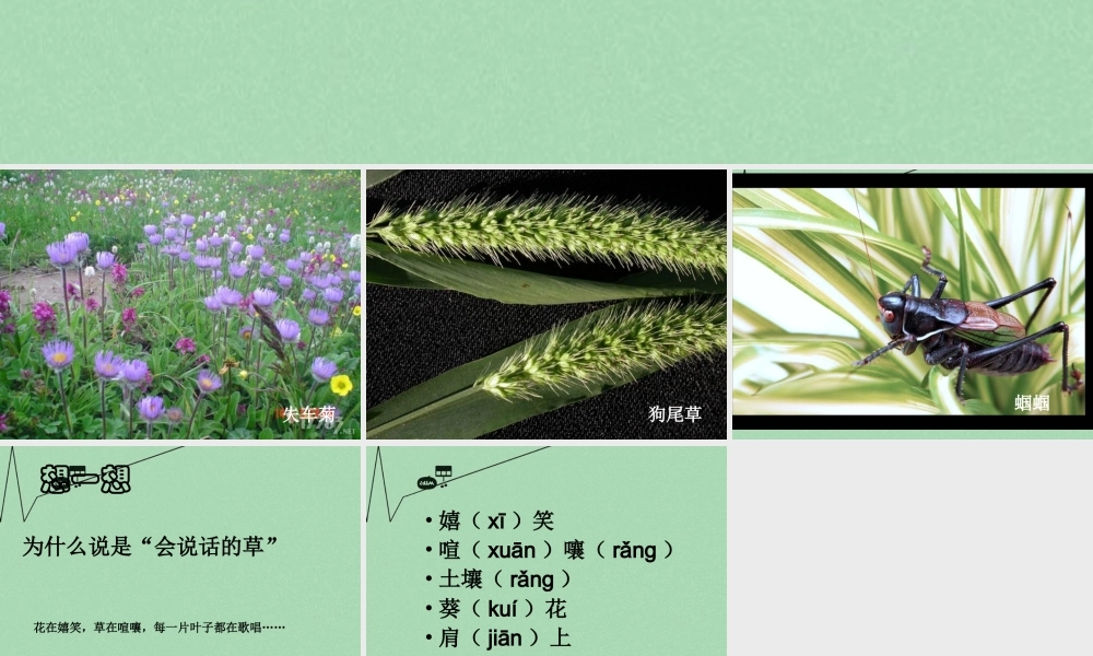 秋三年级语文上册《会说话的草》课件2 冀教版-冀教版小学三年级上册语文课件