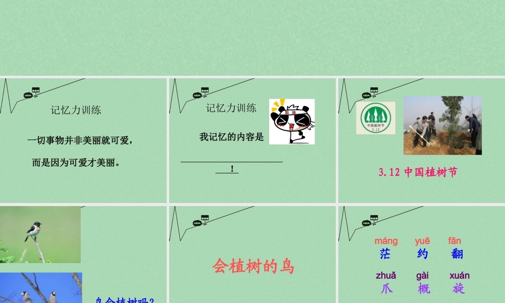 秋三年级语文上册《会植树的鸟》课件1 冀教版-冀教版小学三年级上册语文课件