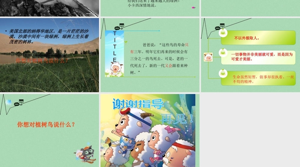 秋三年级语文上册《会植树的鸟》课件3 冀教版-冀教版小学三年级上册语文课件