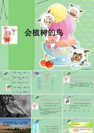 秋三年级语文上册《会植树的鸟》课件3 冀教版-冀教版小学三年级上册语文课件