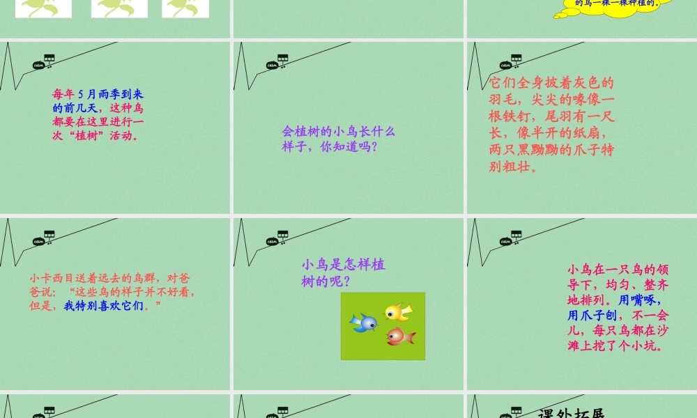 秋三年级语文上册《会植树的鸟》课件4 冀教版-冀教版小学三年级上册语文课件