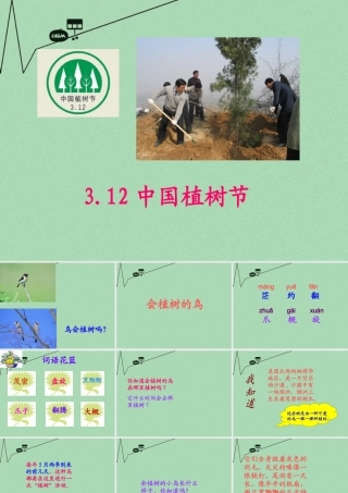 秋三年级语文上册《会植树的鸟》课件4 冀教版-冀教版小学三年级上册语文课件