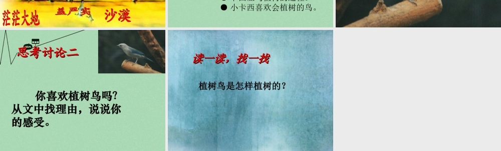 秋三年级语文上册《会植树的鸟》课件5 冀教版-冀教版小学三年级上册语文课件