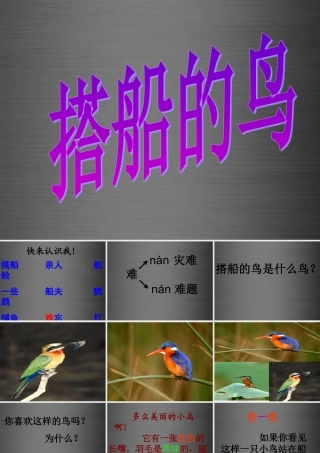 秋二年级语文上册《搭船的鸟》课件1 冀教版-冀教版小学二年级上册语文课件