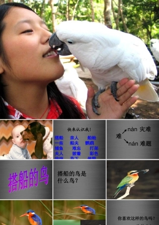 秋二年级语文上册《搭船的鸟》课件2 冀教版-冀教版小学二年级上册语文课件