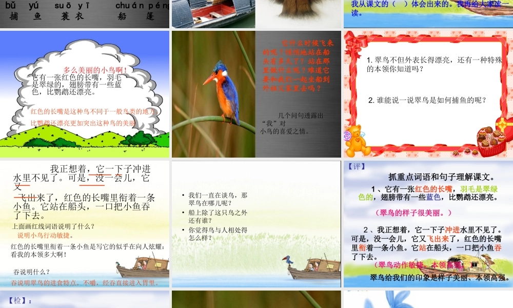 秋二年级语文上册《搭船的鸟》课件3 冀教版-冀教版小学二年级上册语文课件