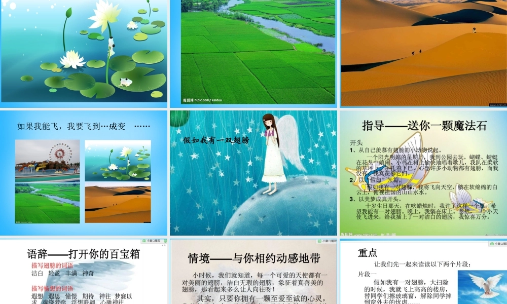 秋三年级语文上册《假如我会飞》课件3 沪教版-沪教版小学三年级上册语文课件