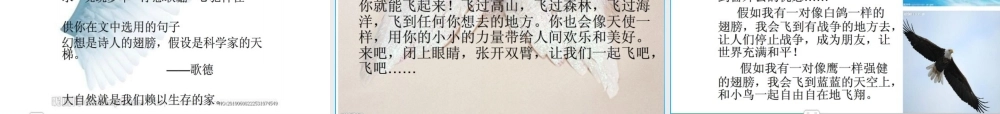 秋三年级语文上册《假如我会飞》课件3 沪教版-沪教版小学三年级上册语文课件