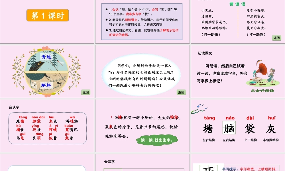 秋二年级语文上册 第一单元 1 小蝌蚪找妈妈教学课件 新人教版-新人教版小学二年级上册语文课件
