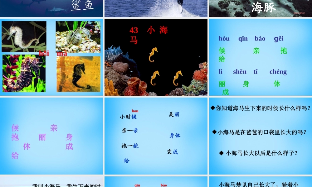 秋一年级语文上册《小海马》课件2 沪教版-沪教版小学一年级上册语文课件