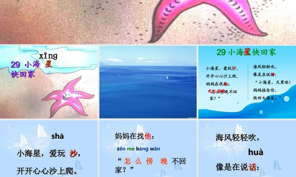 秋一年级语文上册《小海星快回家》课件1 沪教版-沪教版小学一年级上册语文课件