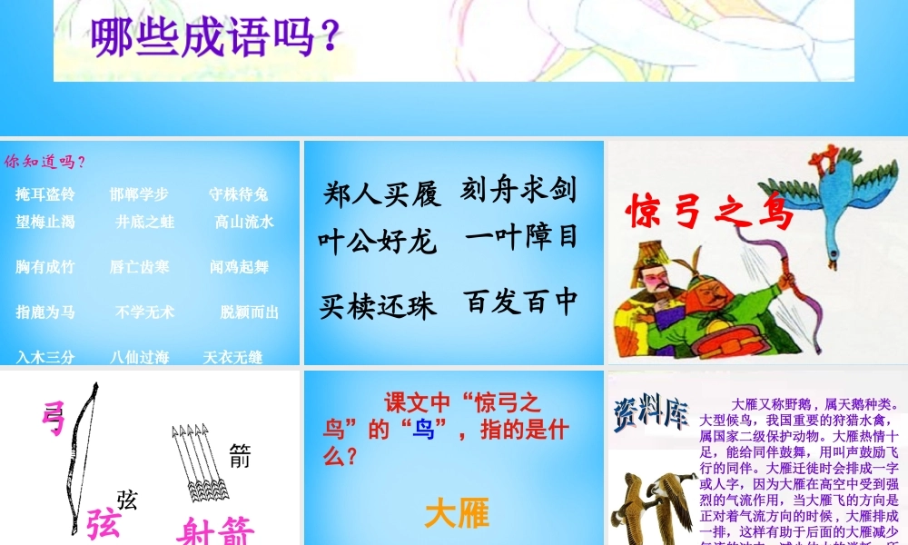 秋三年级语文上册《惊弓之鸟》课件2 沪教版-沪教版小学三年级上册语文课件