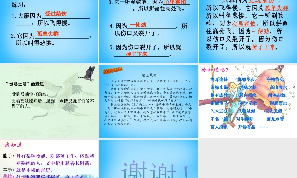 秋三年级语文上册《惊弓之鸟》课件3 沪教版-沪教版小学三年级上册语文课件