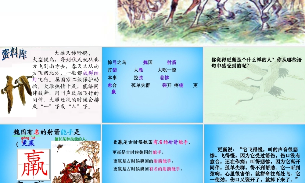 秋三年级语文上册《惊弓之鸟》课件4 沪教版-沪教版小学三年级上册语文课件