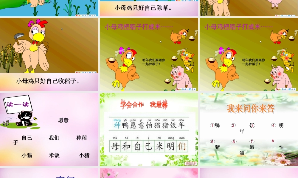 秋一年级语文上册《小母鸡种稻子》课件1 北师大版-北师大版小学一年级上册语文课件