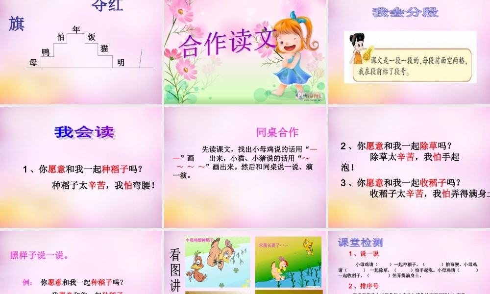 秋一年级语文上册《小母鸡种稻子》课件1 北师大版-北师大版小学一年级上册语文课件