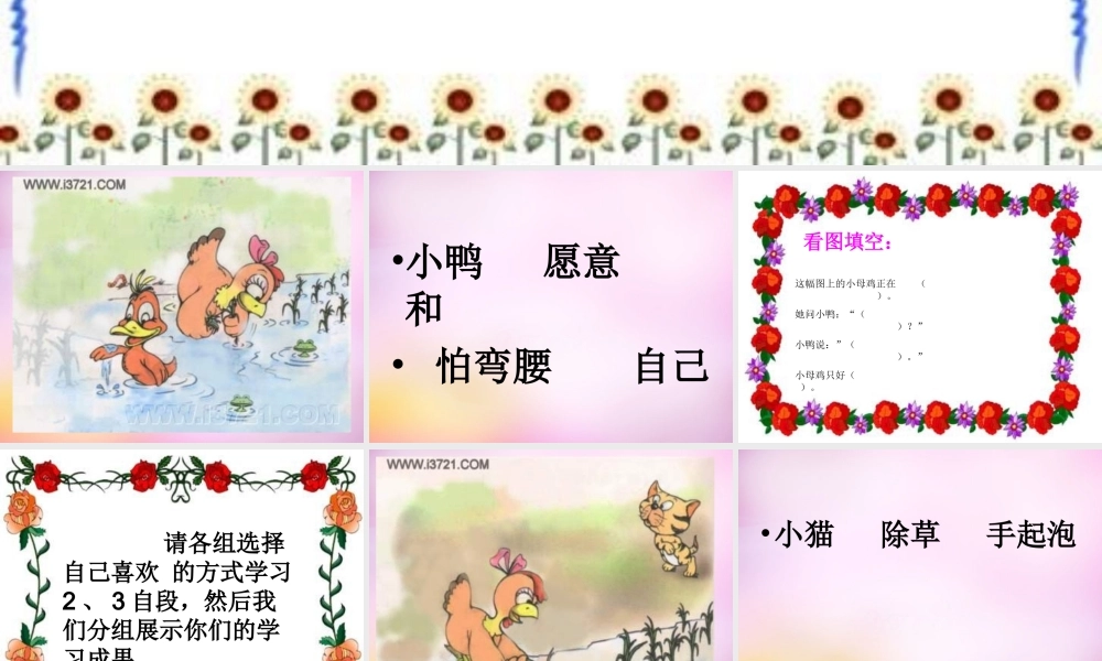 秋一年级语文上册《小母鸡种稻子》课件2 北师大版-北师大版小学一年级上册语文课件