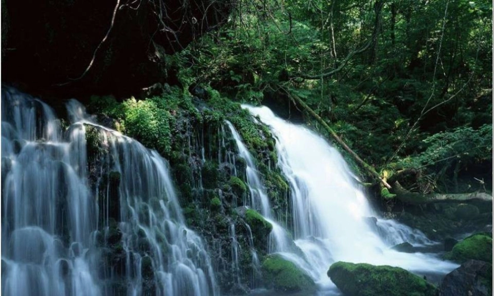 秋二年级语文上册《风铃草》课件1 冀教版-冀教版小学二年级上册语文课件