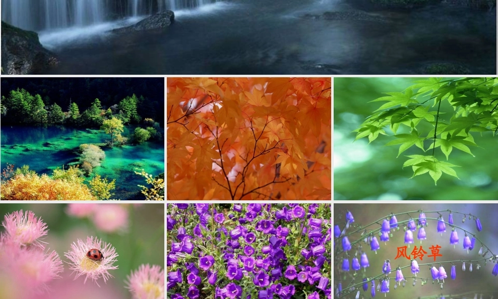 秋二年级语文上册《风铃草》课件1 冀教版-冀教版小学二年级上册语文课件