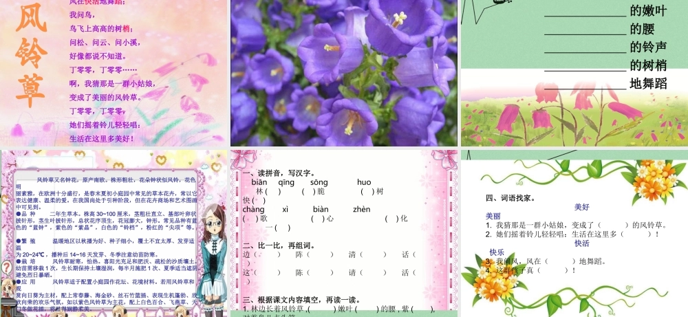 秋二年级语文上册《风铃草》课件1 冀教版-冀教版小学二年级上册语文课件