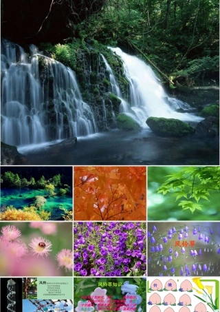 秋二年级语文上册《风铃草》课件1 冀教版-冀教版小学二年级上册语文课件