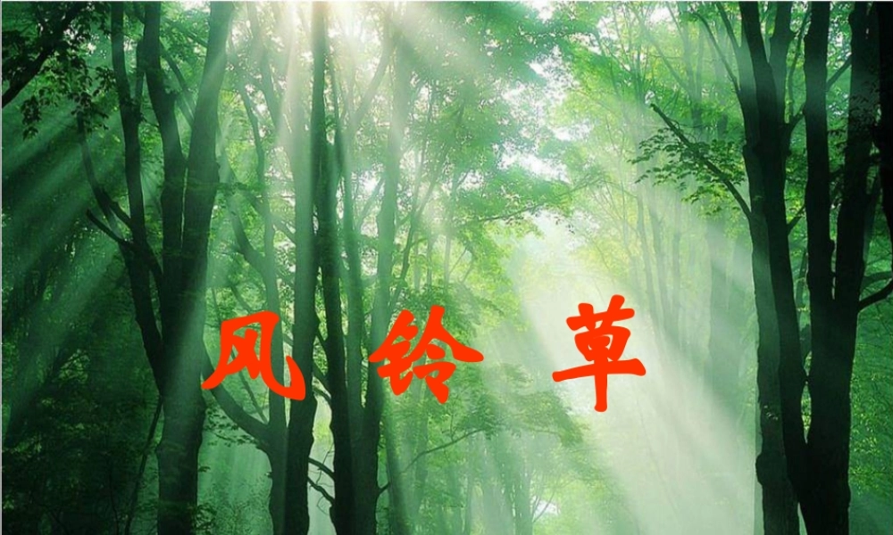 秋二年级语文上册《风铃草》课件2 冀教版-冀教版小学二年级上册语文课件