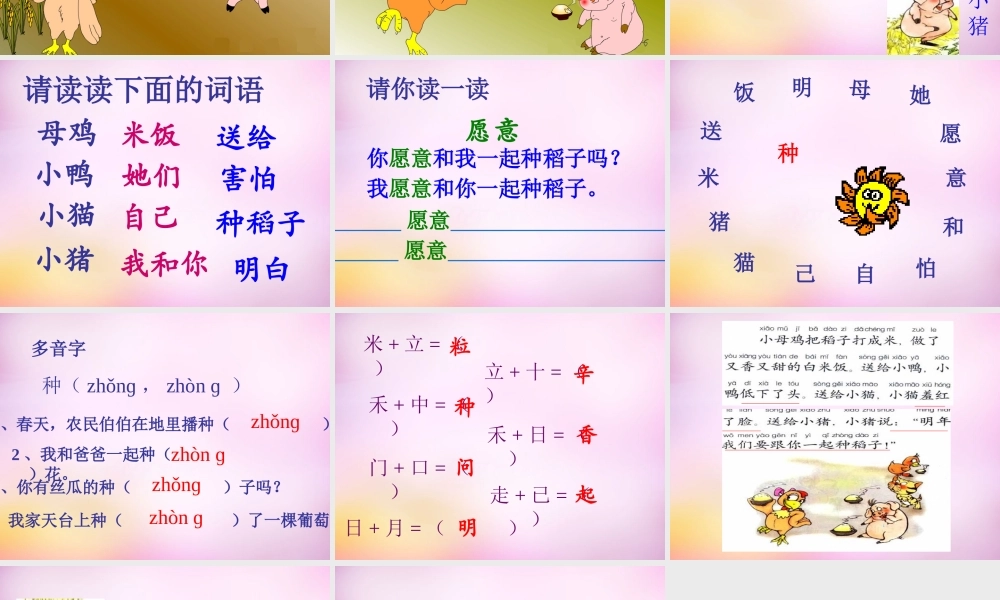 秋一年级语文上册《小母鸡种稻子》课件3 北师大版-北师大版小学一年级上册语文课件