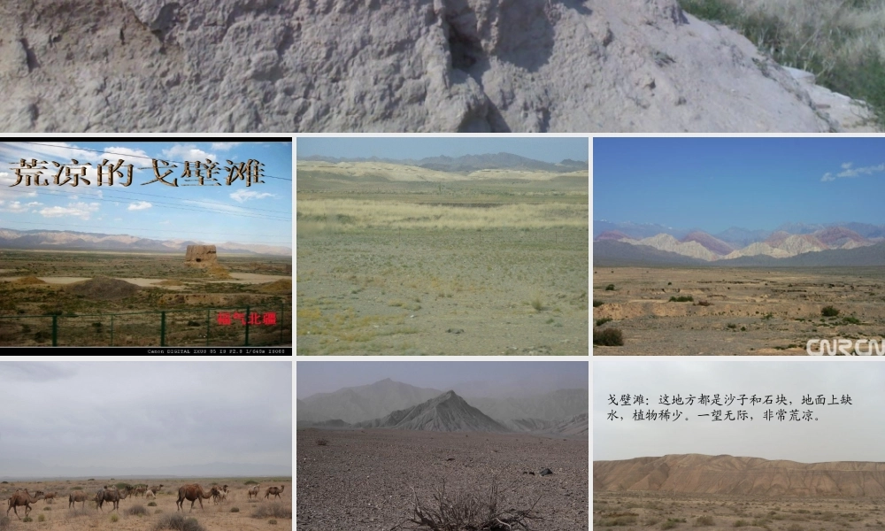 秋二年级语文上册《戈壁滩上的古长城》课件 冀教版-冀教版小学二年级上册语文课件