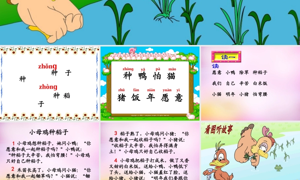 秋一年级语文上册《小母鸡种稻子》课件4 北师大版-北师大版小学一年级上册语文课件