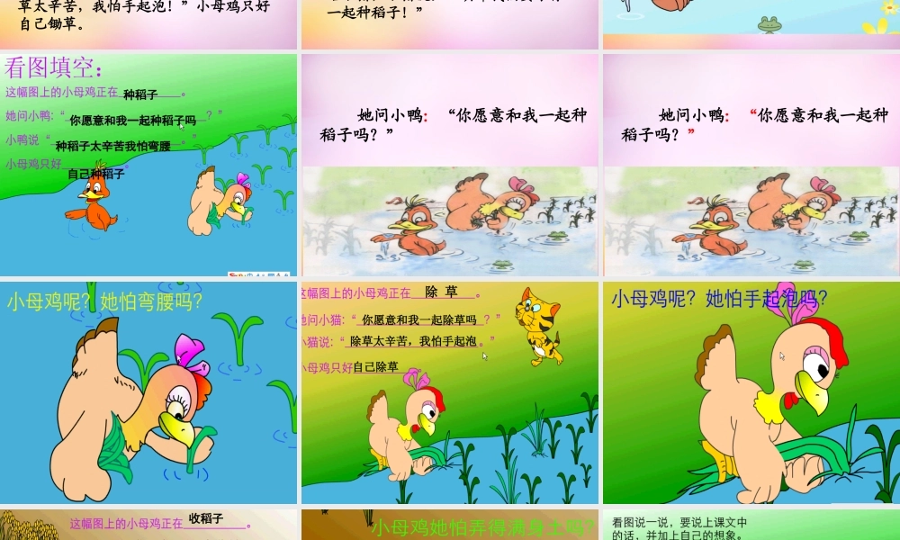 秋一年级语文上册《小母鸡种稻子》课件4 北师大版-北师大版小学一年级上册语文课件