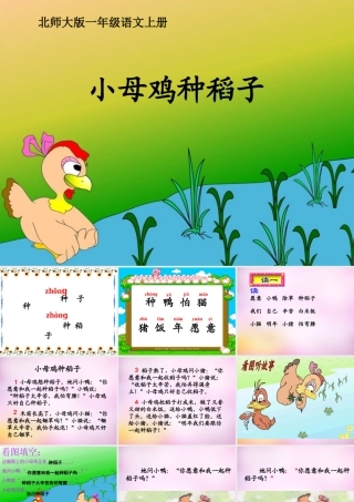秋一年级语文上册《小母鸡种稻子》课件4 北师大版-北师大版小学一年级上册语文课件