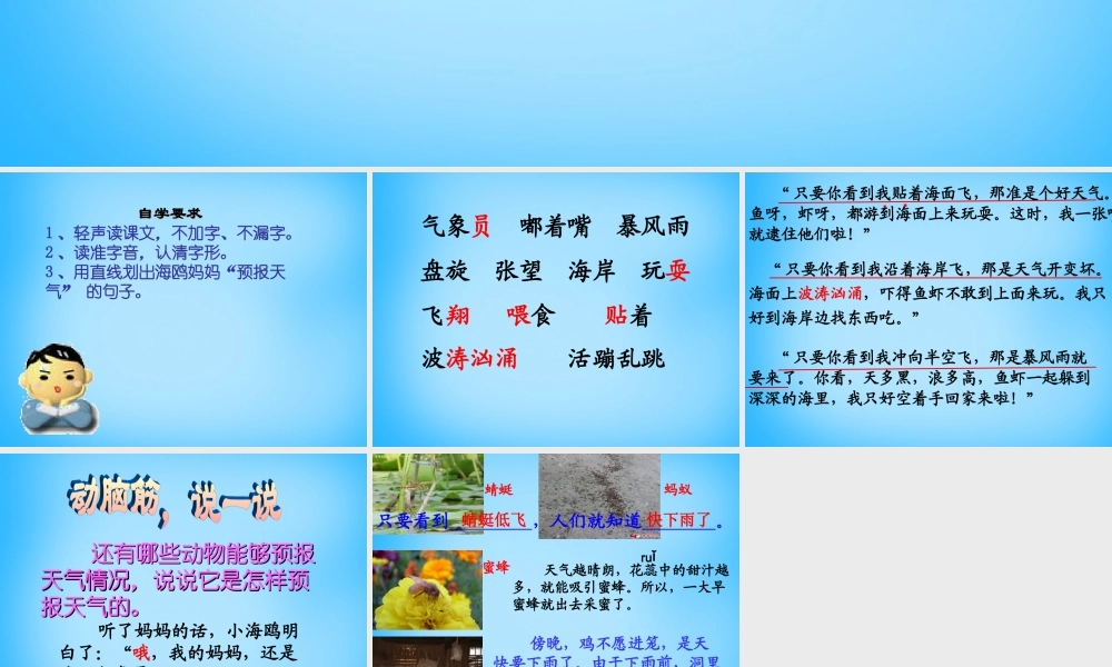 秋二年级语文上册《海上气象员》课件3 沪教版-沪教版小学二年级上册语文课件