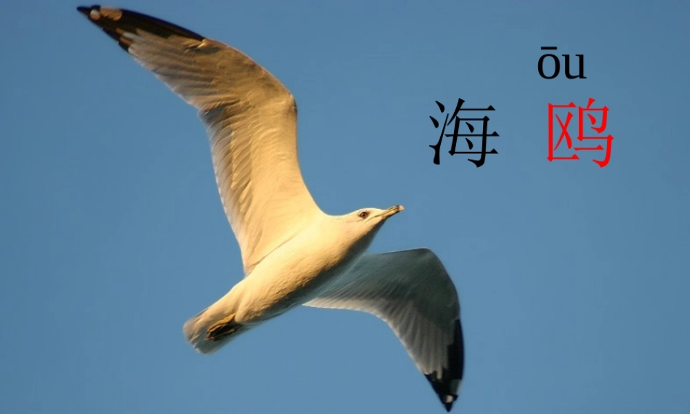 秋二年级语文上册《海上气象员》课件5 沪教版-沪教版小学二年级上册语文课件