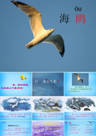 秋二年级语文上册《海上气象员》课件5 沪教版-沪教版小学二年级上册语文课件