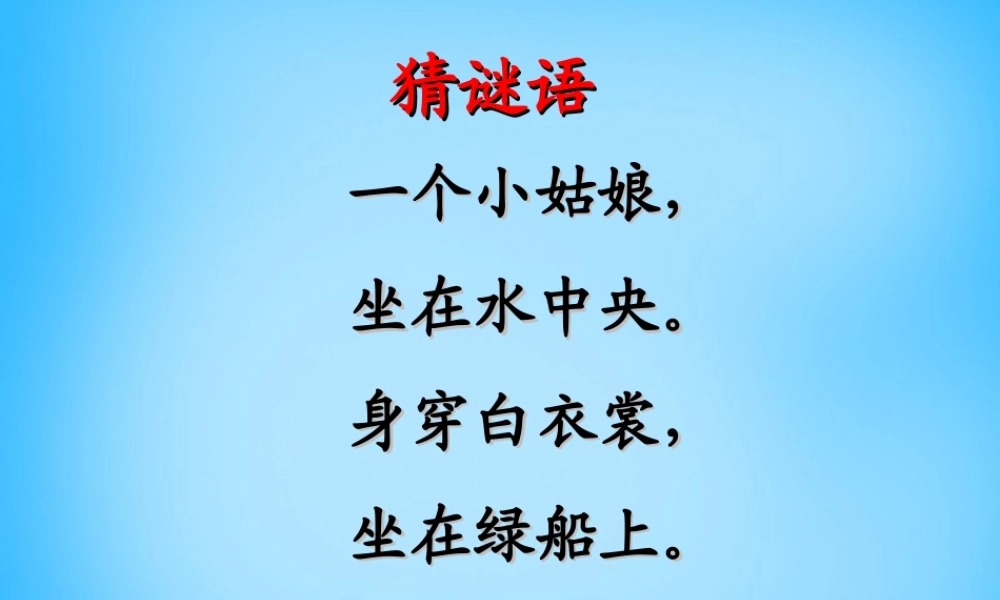 秋二年级语文上册《荷花》课件1 沪教版-沪教版小学二年级上册语文课件