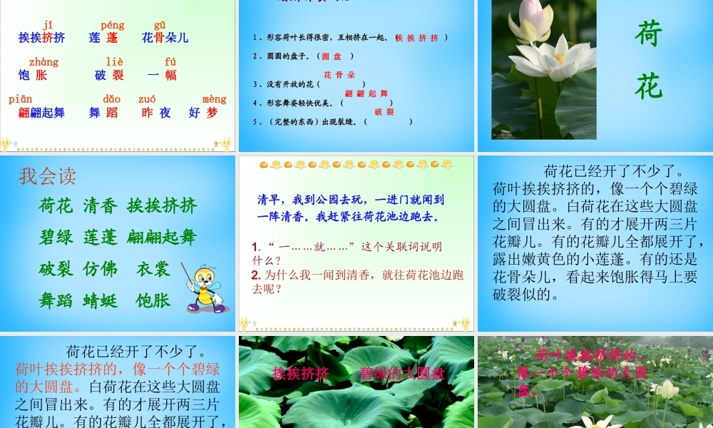 秋二年级语文上册《荷花》课件1 沪教版-沪教版小学二年级上册语文课件