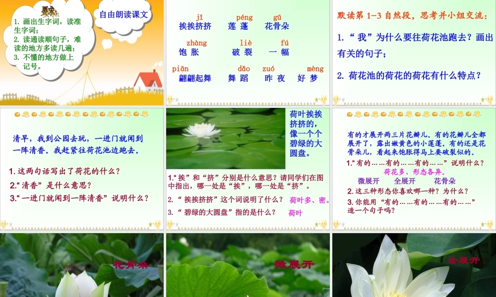 秋二年级语文上册《荷花》课件2 沪教版-沪教版小学二年级上册语文课件