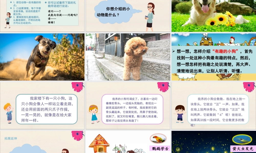 秋二年级语文上册 第一单元 口语交际 有趣的动物教学课件 新人教版-新人教版小学二年级上册语文课件