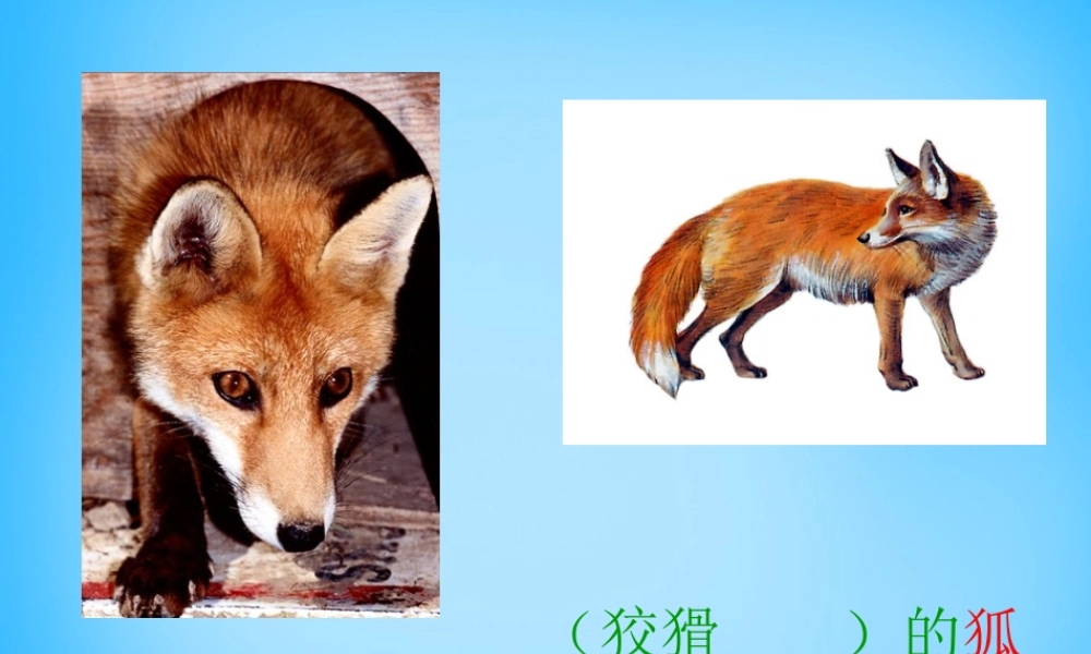 秋二年级语文上册《狐假虎威》课件1 沪教版-沪教版小学二年级上册语文课件