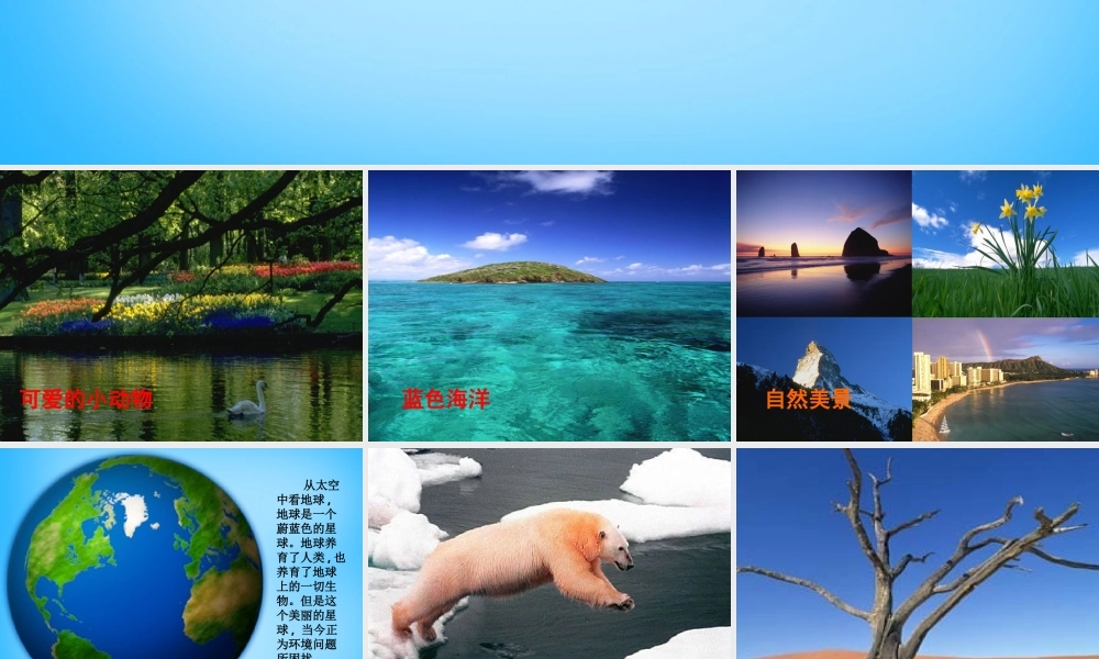 秋二年级语文上册《保护地球 从小事做起》课件2 沪教版-沪教版小学二年级上册语文课件