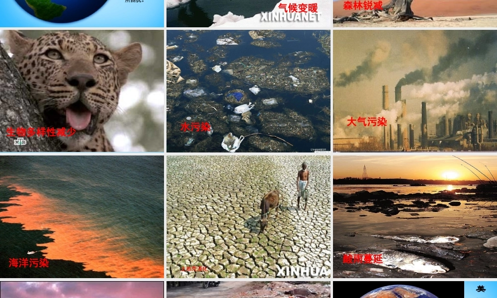 秋二年级语文上册《保护地球 从小事做起》课件2 沪教版-沪教版小学二年级上册语文课件