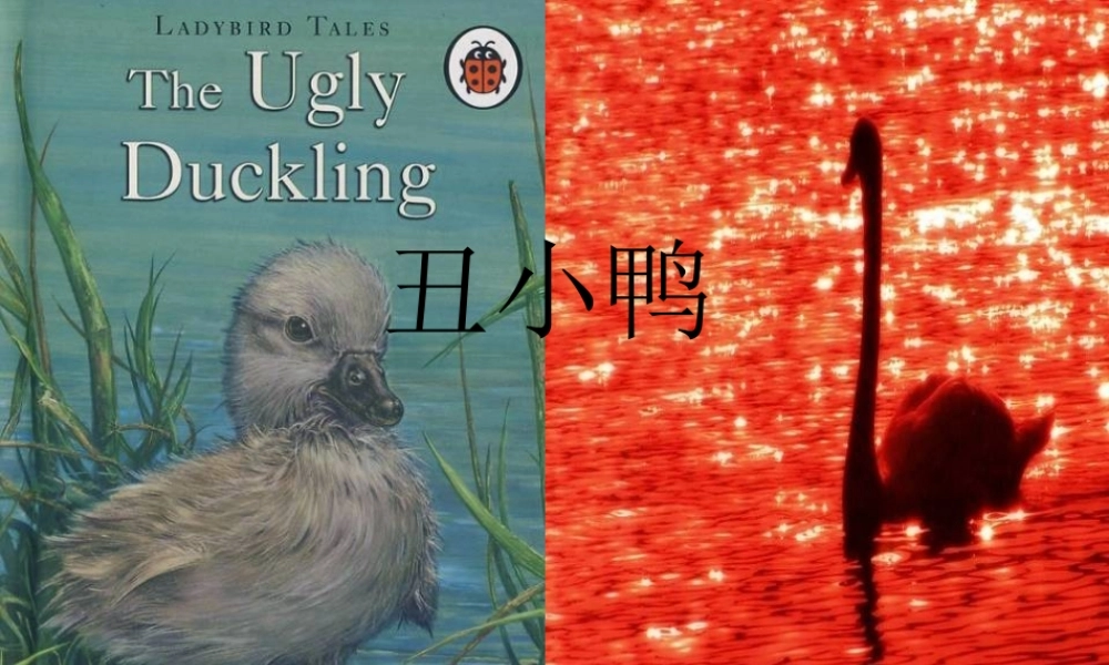 秋二年级语文上册《丑小鸭》课件1 沪教版-沪教版小学二年级上册语文课件