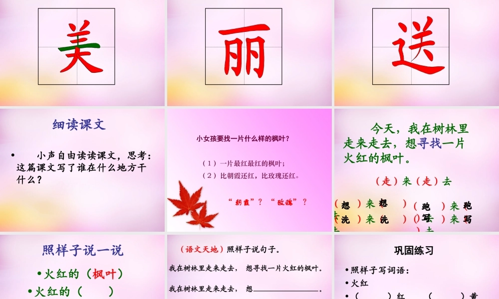 秋二年级语文上册《火红的枫叶》课件1 北师大版-北师大版小学二年级上册语文课件