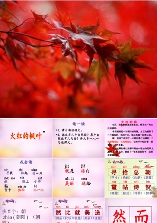 秋二年级语文上册《火红的枫叶》课件1 北师大版-北师大版小学二年级上册语文课件