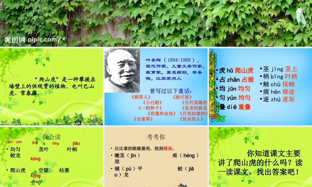 秋三年级语文上册《爬山虎的脚》课件4 沪教版-沪教版小学三年级上册语文课件