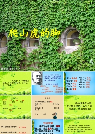 秋三年级语文上册《爬山虎的脚》课件4 沪教版-沪教版小学三年级上册语文课件