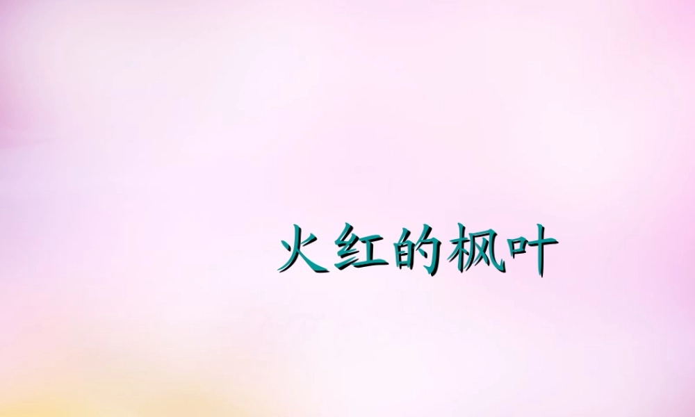 秋二年级语文上册《火红的枫叶》课件2 北师大版-北师大版小学二年级上册语文课件