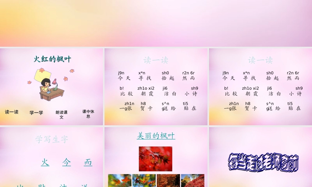 秋二年级语文上册《火红的枫叶》课件2 北师大版-北师大版小学二年级上册语文课件